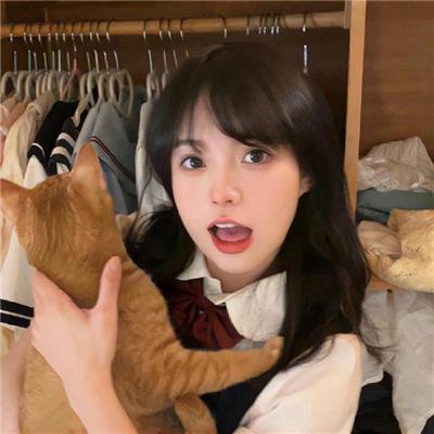 当狗爱上猫粤语